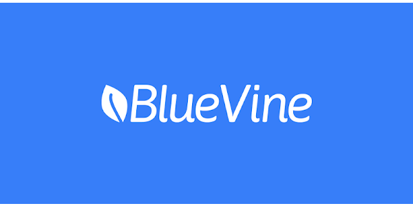 BlueVine Review: The Best Business Checking Account?